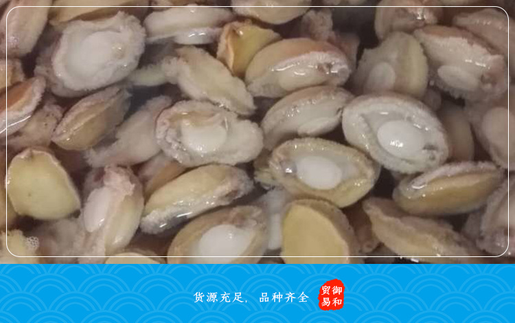 凈鮑魚肉_10