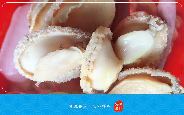 凈鮑魚肉_11
