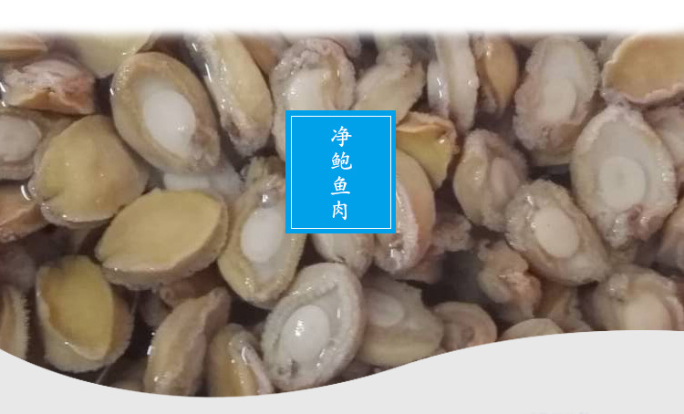 凈鮑魚肉_04