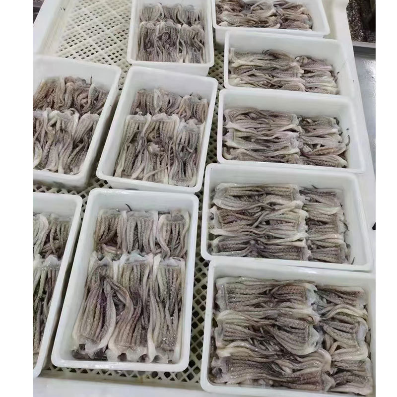 魷魚須1