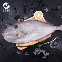 欣隆天鮮東海野生扒皮魚冷凍海鮮500g-1500g順豐冷鏈剝皮魚馬面魚
