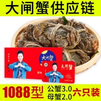 蘇州陽澄湖鎮(zhèn)大閘蟹禮券產(chǎn)地直供生鮮水產(chǎn)螃蟹批發(fā)代理可代發(fā)