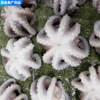 熟凍小章魚麻辣八爪魚迷你短腿八帶魚 批發(fā)海鮮水產(chǎn)翻花八爪魚