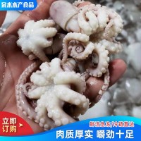 廠家供應(yīng)八爪魚迷你短腿八帶魚 批發(fā)冷凍海鮮水產(chǎn)翻花八爪魚