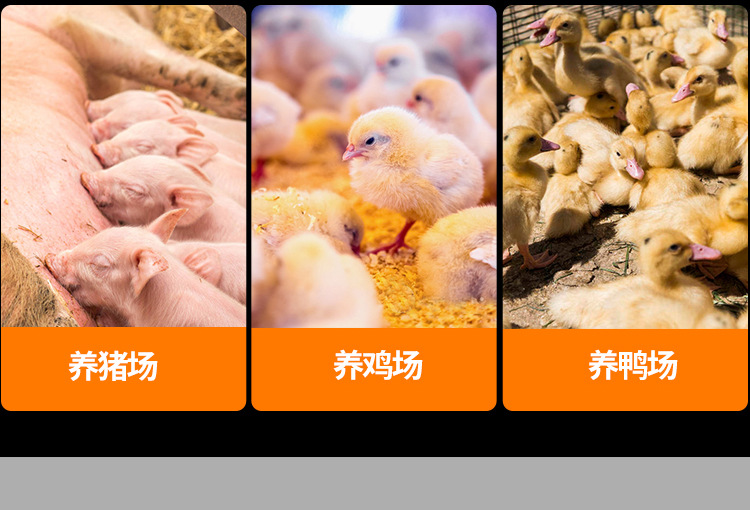 養(yǎng)殖取暖燈-03_03