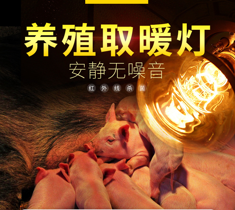 養(yǎng)殖取暖燈-03_01