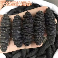 約30頭帶刺螺紋海參 龍紋海參 煲湯煲粥佛跳墻海產(chǎn)品干貨 500克
