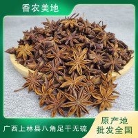 廣西大紅足干水燙八角大料大茴香鹵料香料藥材250g八角