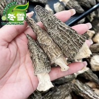 【一級(jí)羊肚菌】產(chǎn)地大貨直批一件代發(fā)淘寶貨源食材食用菌誠(chéng)招代理
