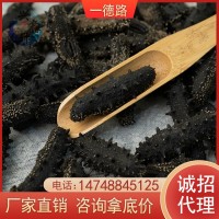 深海刺參 大連淡干 遼參純淡干海參干貨批發(fā)海參 干參非即食海參