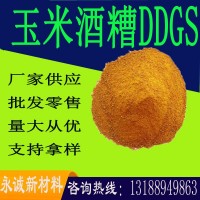 現貨供應 酒香濃郁適口性好 玉米干酒糟DDGS 蛋白28 高脂玉米酒糟
