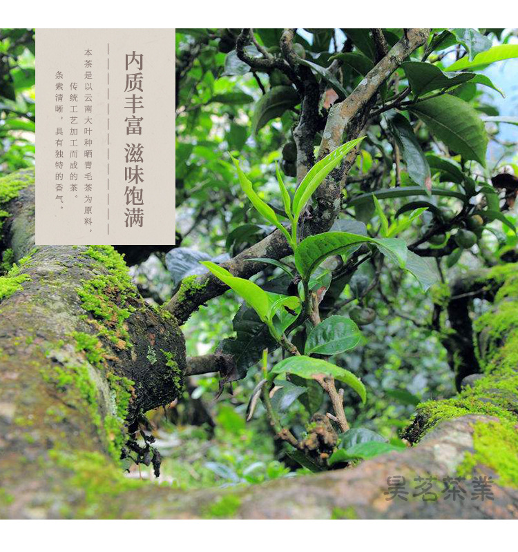 4班章_04.jpg