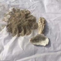 廠家直銷海參餌料 牡蠣殼粉 水洗殼粉 量大從優(yōu)