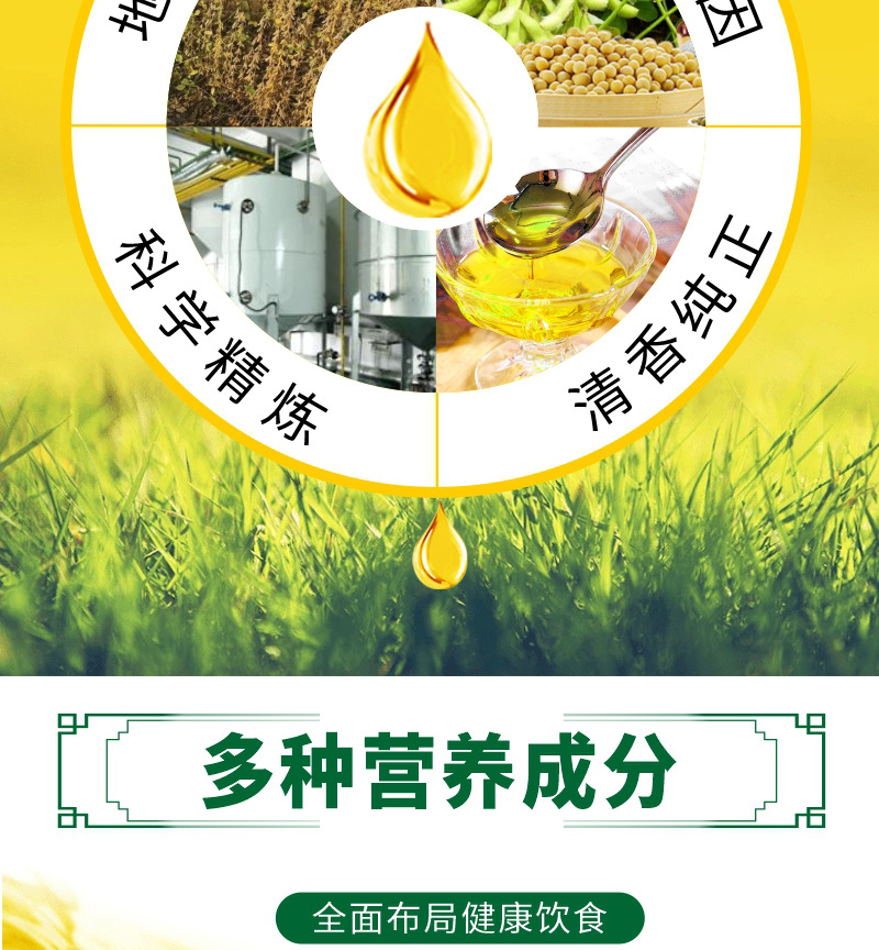 20L冠博非轉(zhuǎn)一豆_03.jpg