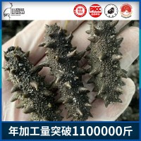 大連大火拉缸鹽半干原料批發(fā)可做國標(biāo)干貨即食海參