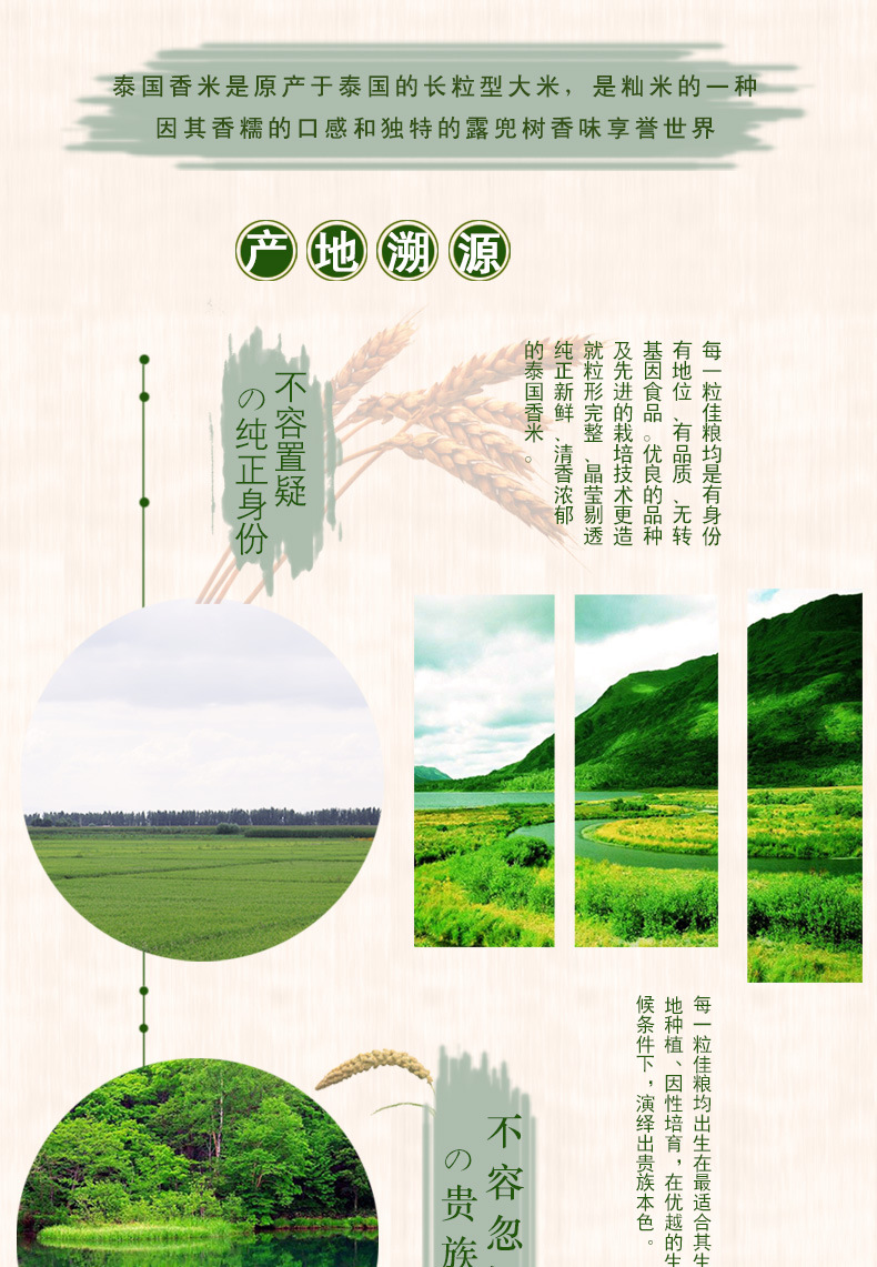 藍(lán)泰詳情_02