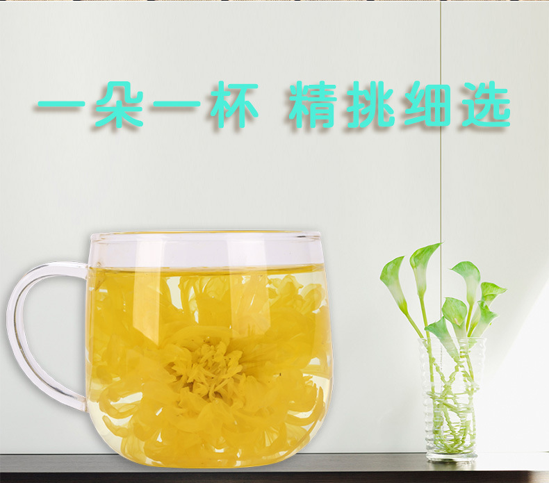 黃菊_11.jpg