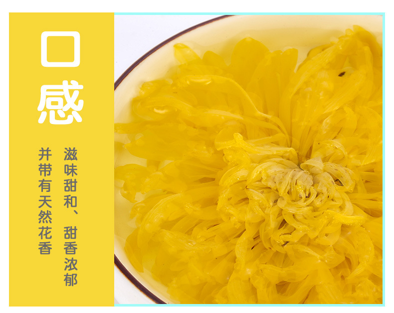 黃菊_08.jpg