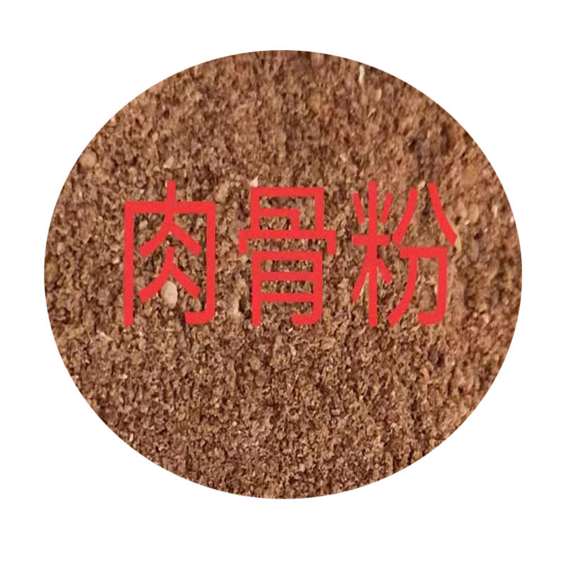 白底圖