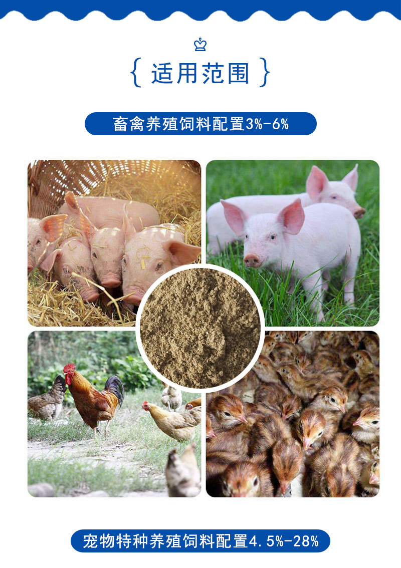 魚粉詳情_06