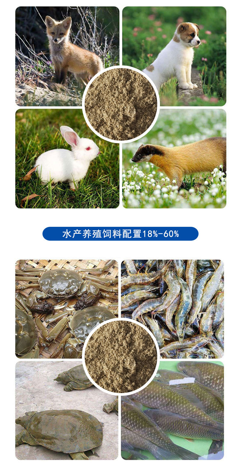 魚粉詳情_07