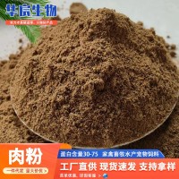 批發(fā)肉粉肉骨粉 水產動物性飼料蛋白骨粉 肥料級有機肥肉粉肉骨粉