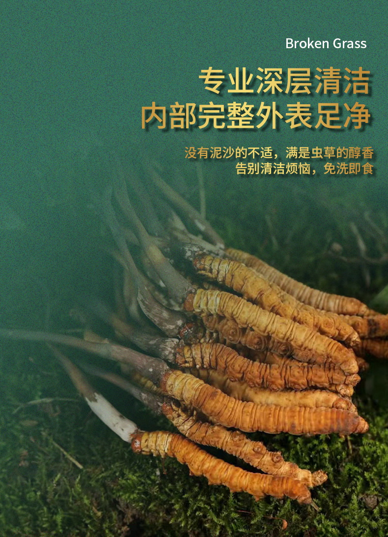 新鮮蟲草詳情頁(yè)_05.jpg