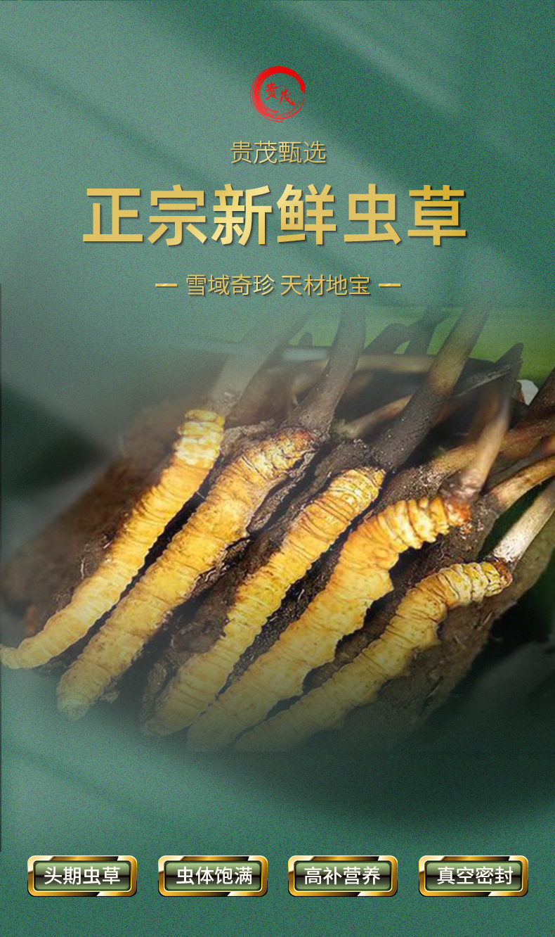 新鮮蟲草詳情頁(yè)_02.jpg
