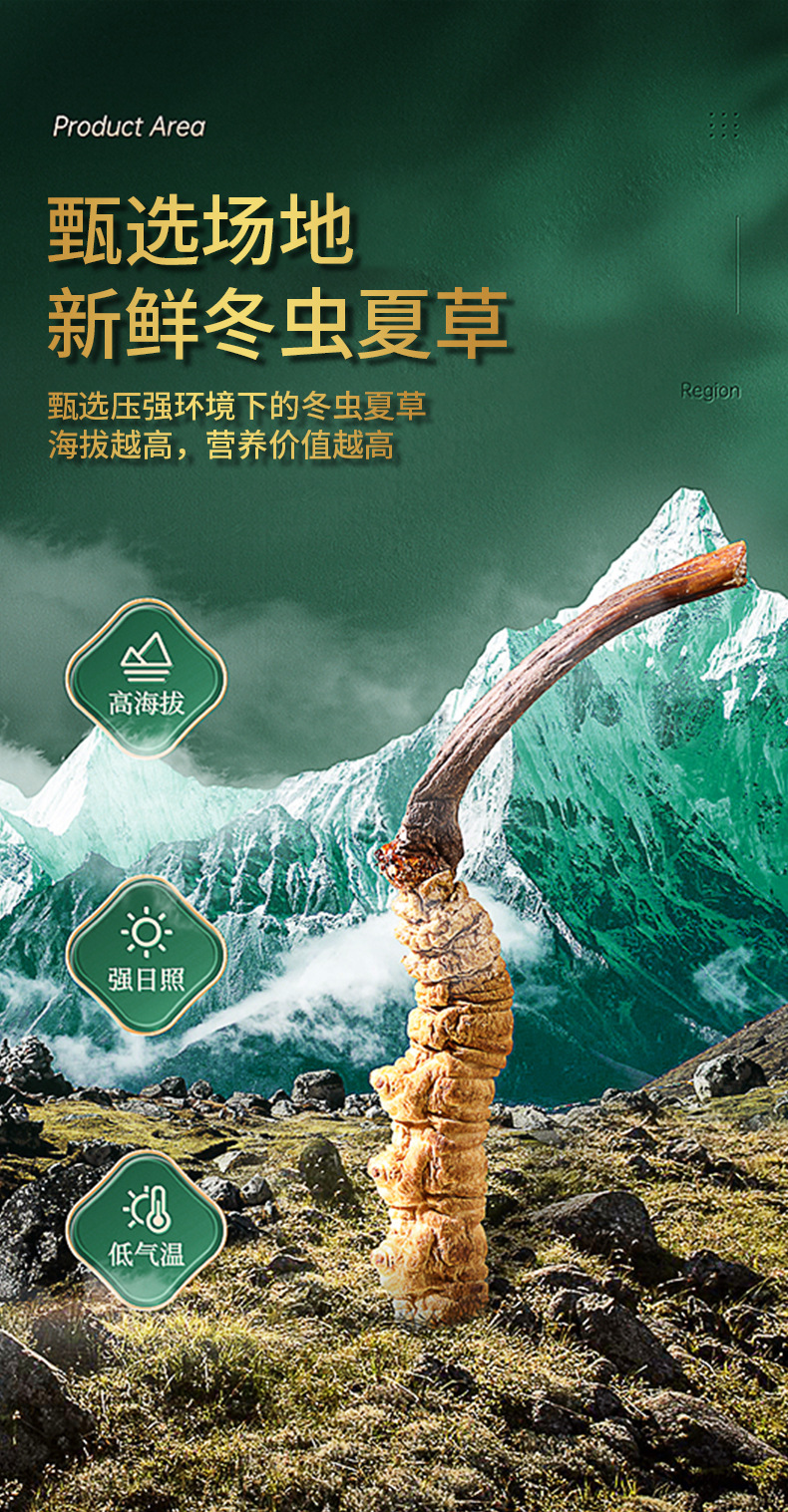 新鮮蟲草詳情頁(yè)_04.jpg