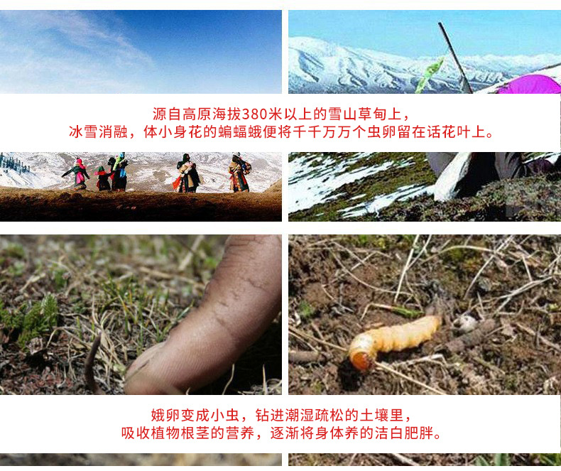 詳情頁5.jpg
