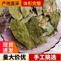 產(chǎn)地貨源現(xiàn)貨香葉大片月桂葉增味提香火鍋燉肉調(diào)味香辛料批發(fā)