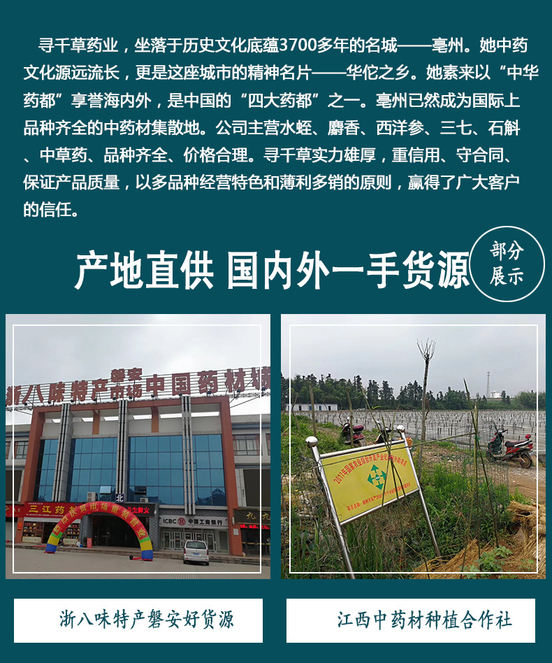 金櫻子_03.jpg