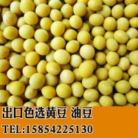 黑龍江產(chǎn)地直銷批發(fā)出口黃豆油豆含油量高高色選35kg/袋