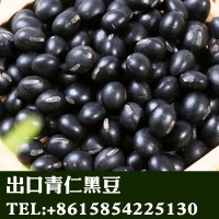 黑龍江產(chǎn)地直銷批發(fā)出口青仁黑豆非轉(zhuǎn)基因東北黑豆