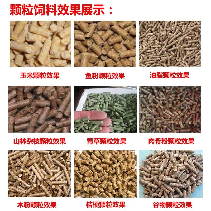 顆粒機飼料效果展示