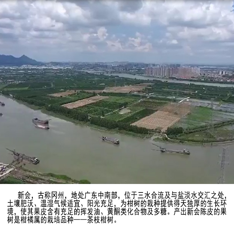 詳情圖氣候