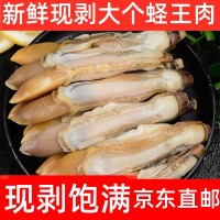 新鮮蟶王肉竹蟶肉蟶子肉現(xiàn)剝手指鮮活冷凍飽滿(mǎn)無(wú)冰衣抖音250g