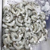 去頭蝦印度無頭蝦鮮凍無頭蝦海鮮批發(fā)供應(yīng)冷凍海鮮大蝦食用凍蝦