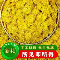 2020年新花修水金絲皇菊一朵一杯散裝養(yǎng)生茶花草茶黃山菊花茶批發(fā)