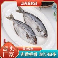 雪花鯧魚 斑點(diǎn)鯧魚海鮮凍品食品 酒店餐飲食材供應(yīng)冷凍雪花鯧