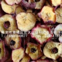 供應烘干山楂邊皮 山楂兩頭片 飼料用山楂干 山楂下腳料