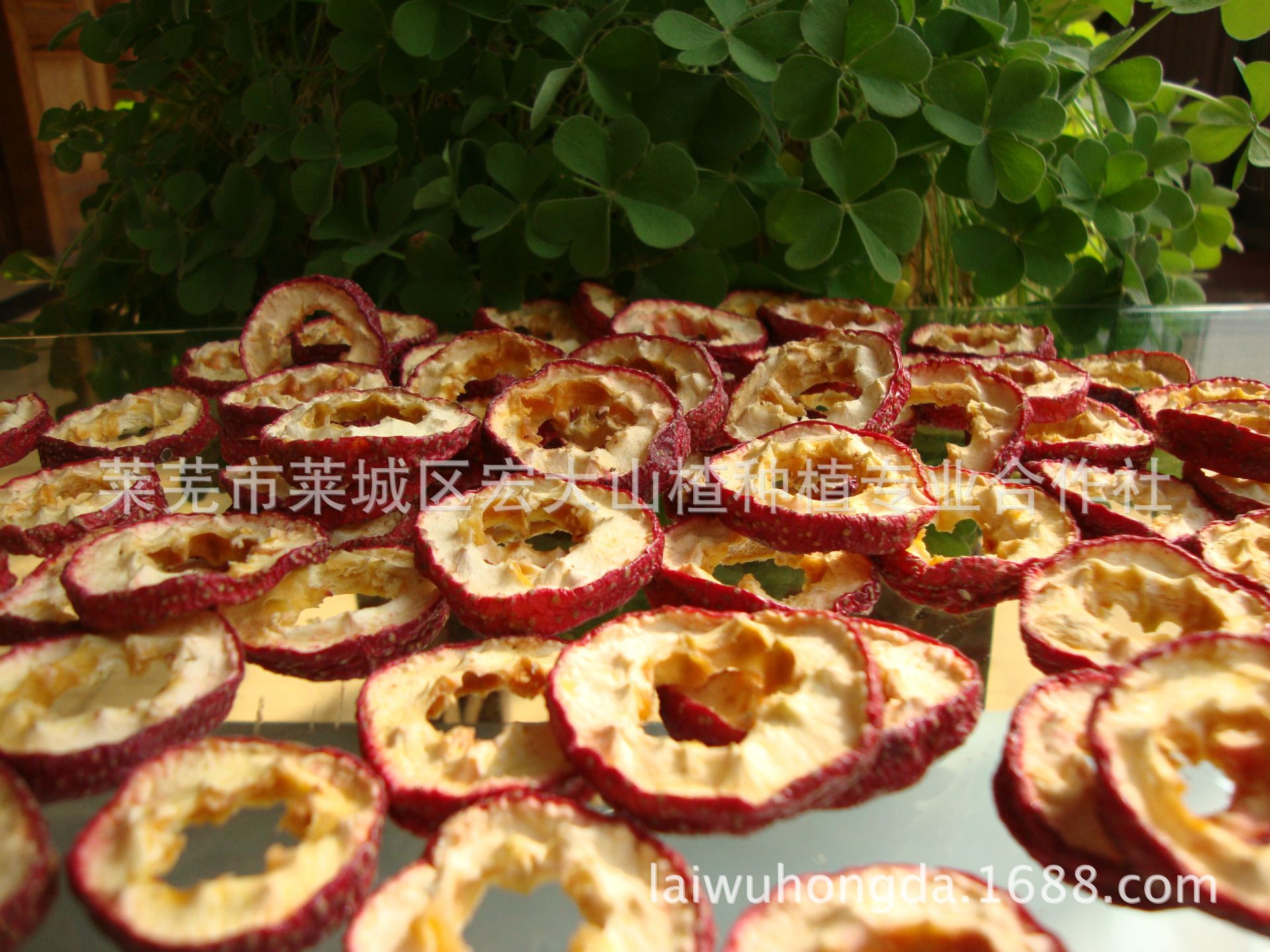 DSC02903