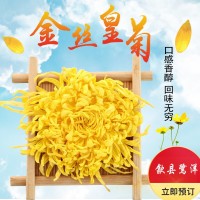 產(chǎn)地貨源 金絲黃菊 黃山菊花茶獨(dú)立包裝大朵泡一朵一杯 支持批發(fā)