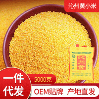 沁縣有機小黃米 5000克無紡布袋裝 小米粥家庭食用黃小米現(xiàn)貨批發(fā)