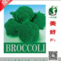 美好F1（65-70天） 西蘭花種子