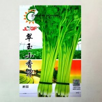 原裝芹菜種子四季易播種實心小香芹種子本地春季盆栽蔬菜種籽高產(chǎn)