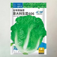 意大利生菜種子陽臺盆栽種籽四季耐抽苔快大生菜種籽蔬菜種子大全