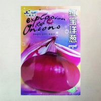 特大洋蔥種子紅皮紫皮四季高產早熟耐寒陽臺盆栽蔬菜種子大全批發(fā)