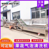果脯蜜餞成套加工設(shè)備 杏脯干清洗流水線 黃杏青梅清洗風(fēng)干生產(chǎn)線