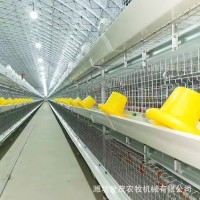 廠家定制自動化雞籠 階梯式蛋雞籠 養(yǎng)雞場養(yǎng)殖設備 肉雞籠養(yǎng)設備